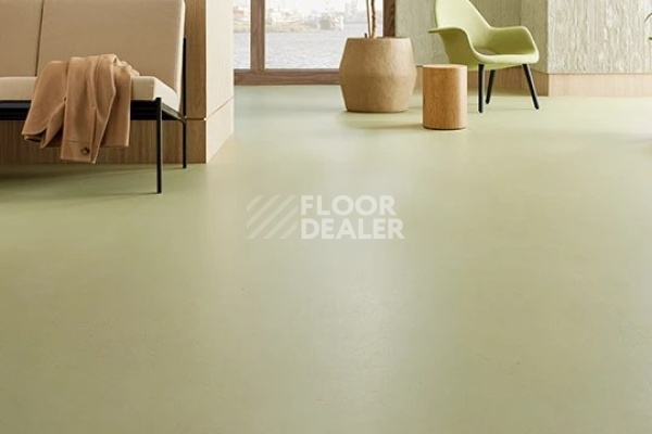 Линолеум Marmoleum Decibel on Order 359335 matcha фото 2 | FLOORDEALER